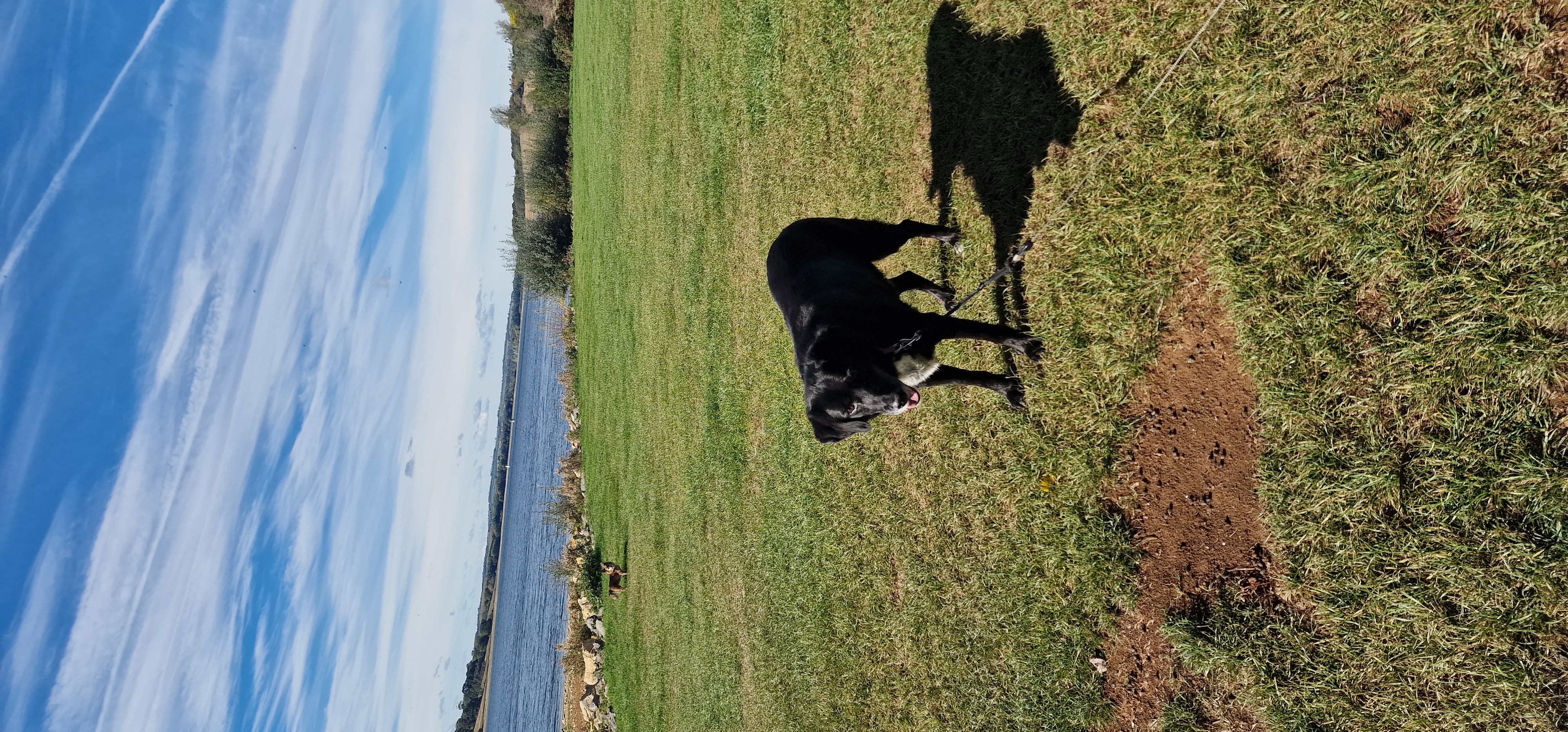 Cassie at Rutland water 😍