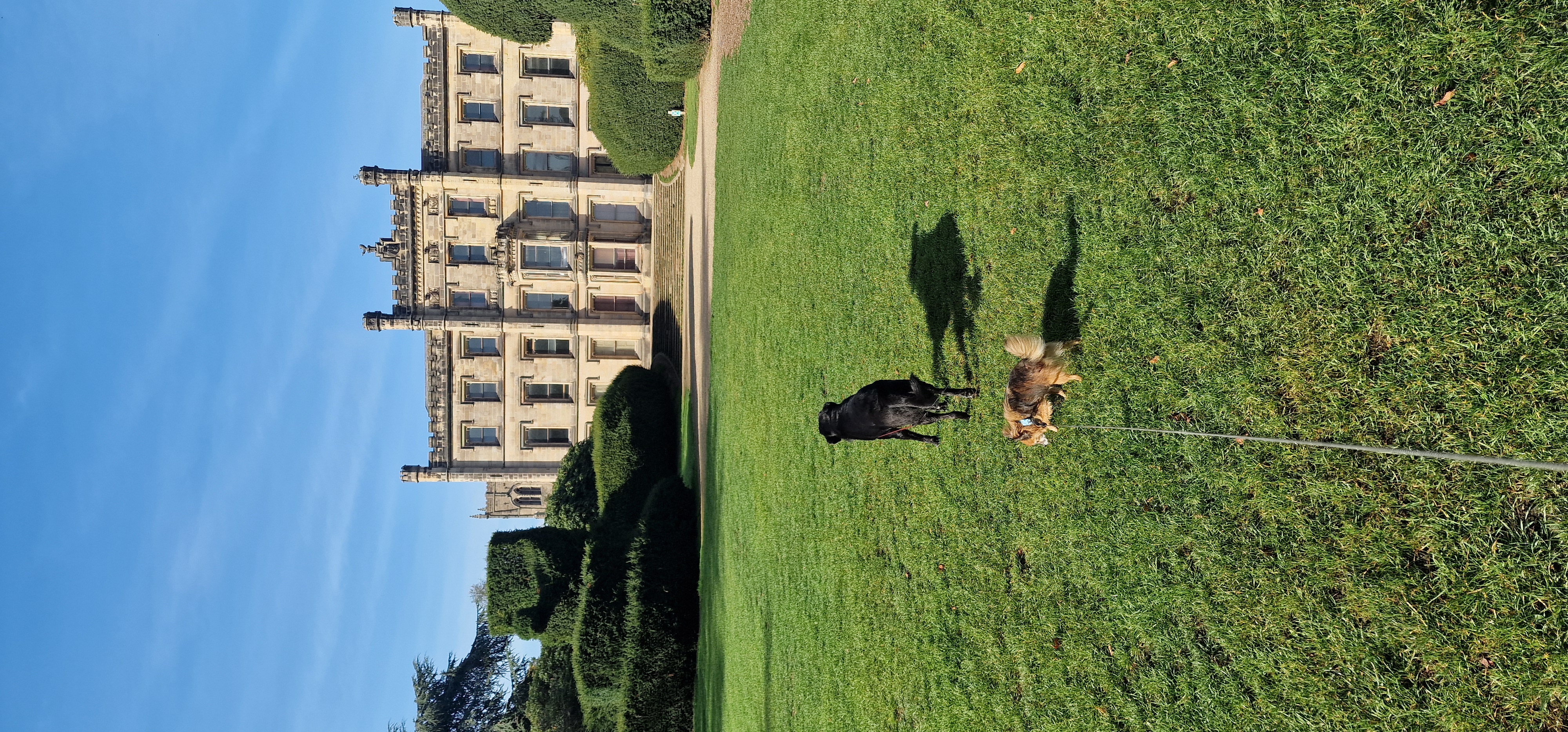 Cassie and Romeo enjoying Alvaston park
