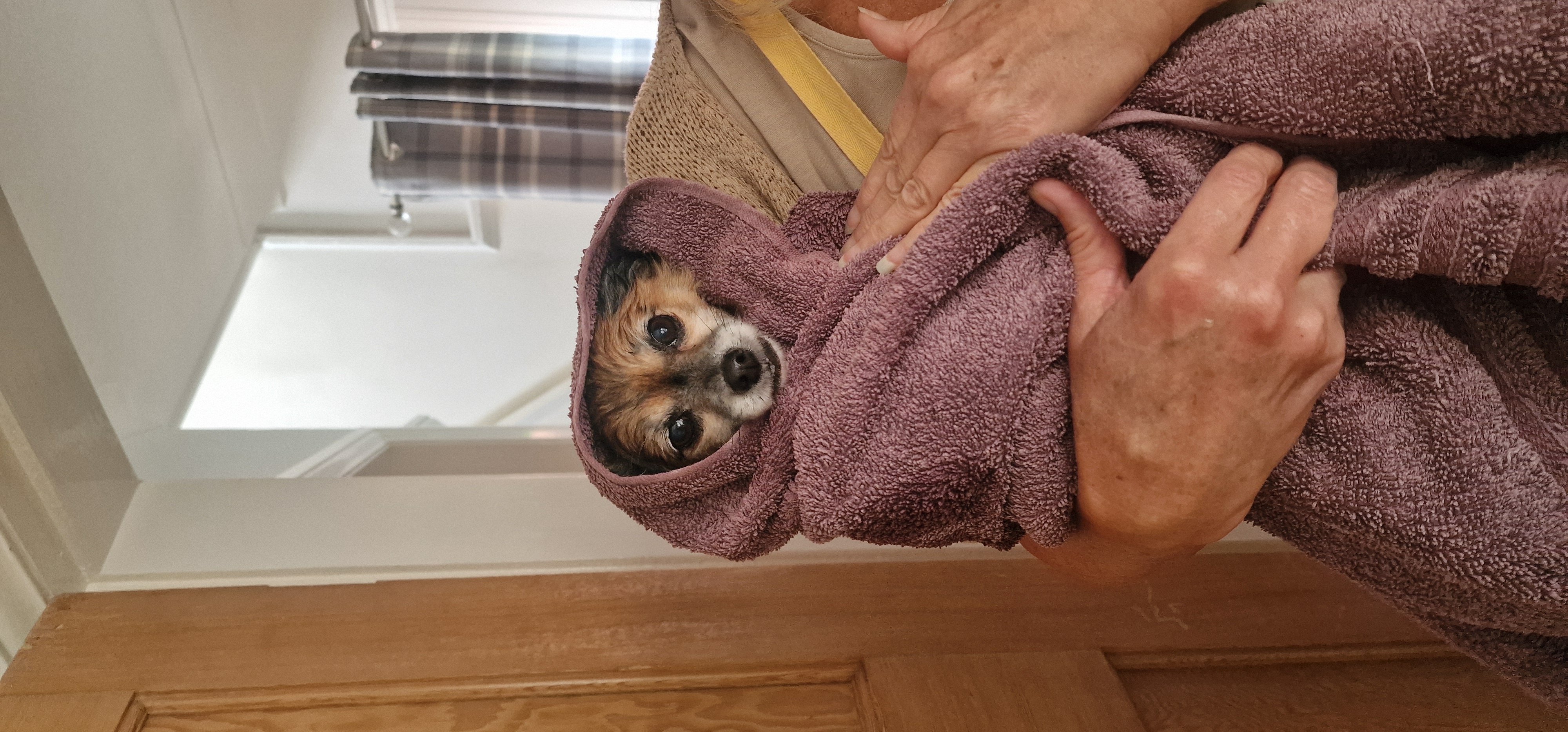 Bathtime after a very muddy walk for Romeo 💙