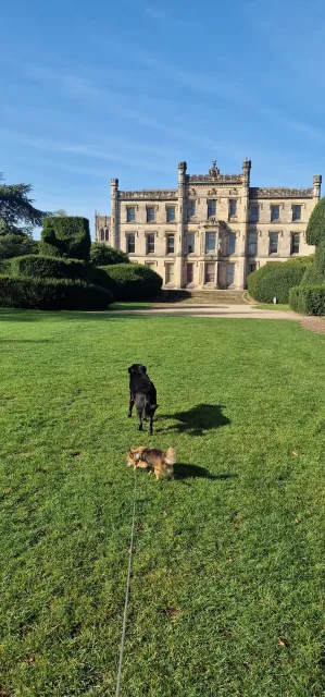 Cassie and Romeo enjoying Alvaston park