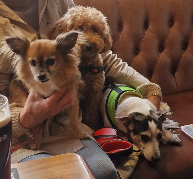 Pit stop at the pub for water, treats and a pint
